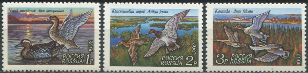 Россия 1992 фауна птицы утки