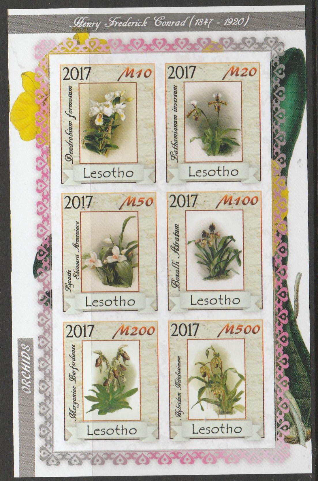 Лесото 2017 живопись Конрад флора орхидеи без перф.