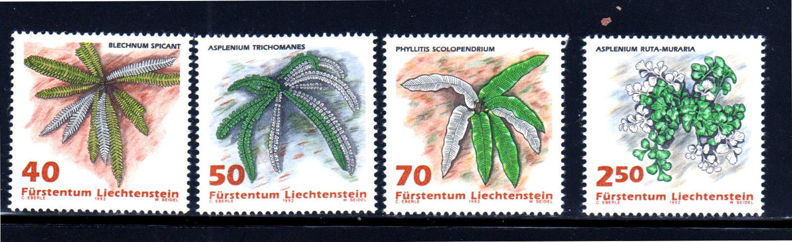 s-l1600 (30)