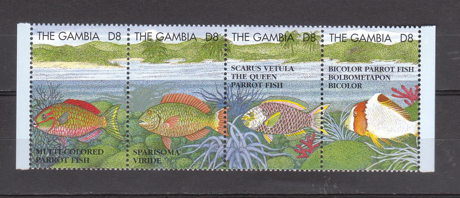Гамбия 1995 морская фауна рыбы