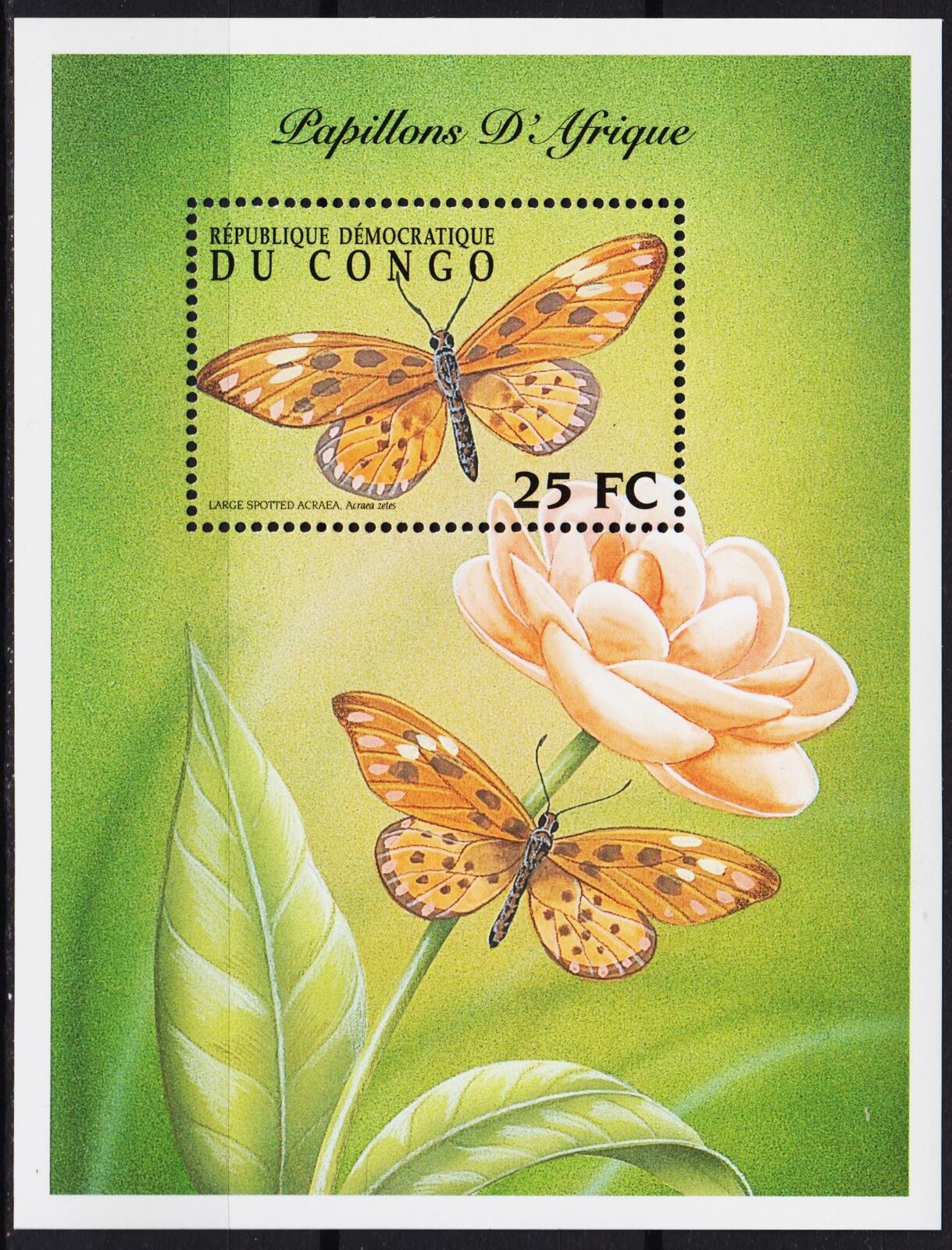 Конго (Киншаса) 2001 фауна насекомые бабочки