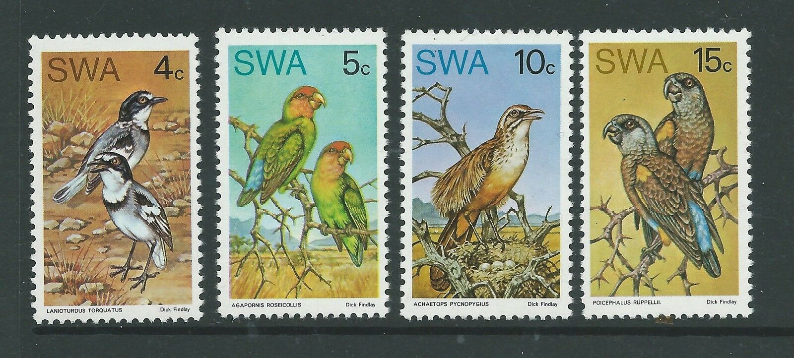 SWA Юго-Западная Африка 1974 фауна птицы редкие виды