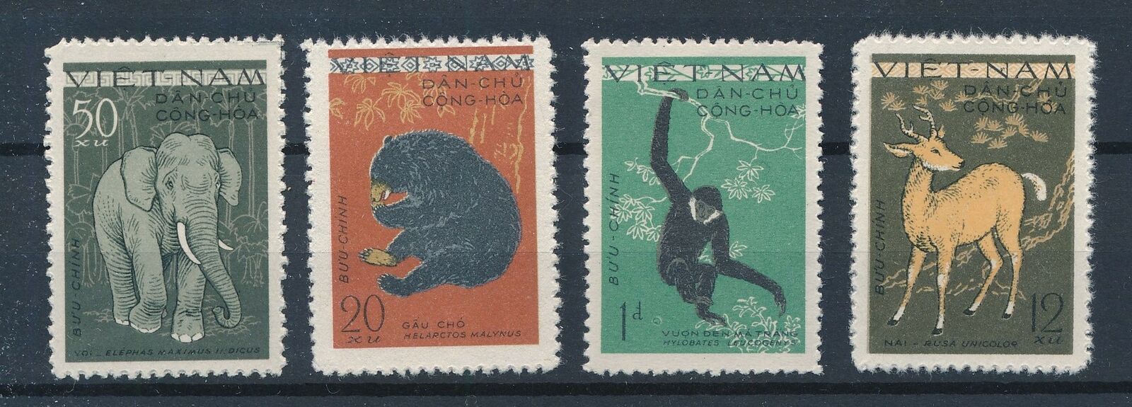 Вьетнам 1961 фауна Азии дикие животные