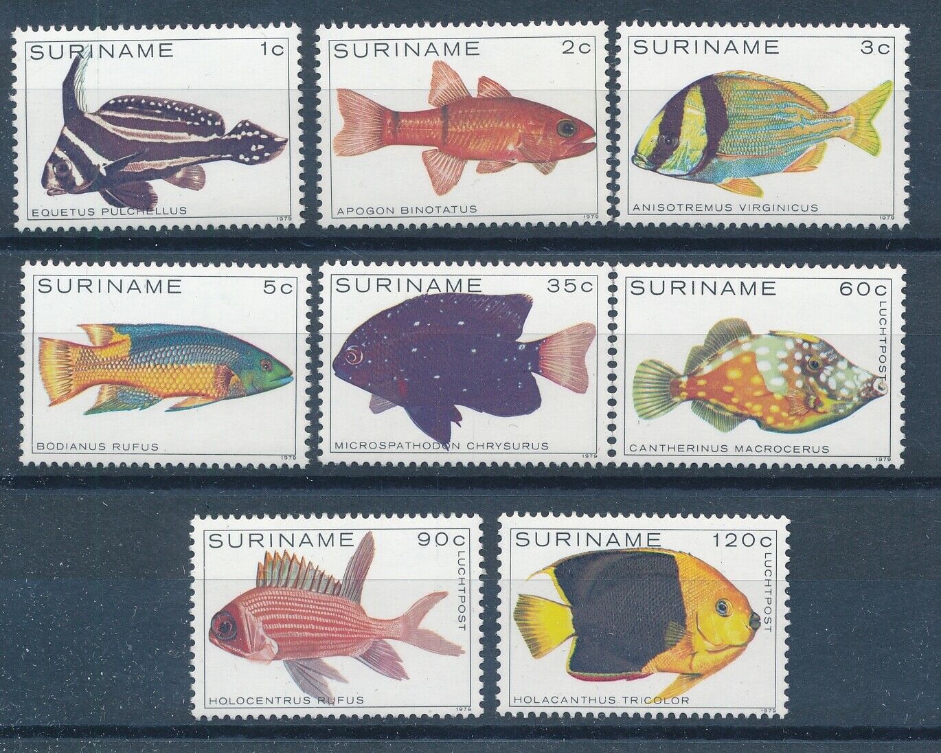 s-l1600 (26)