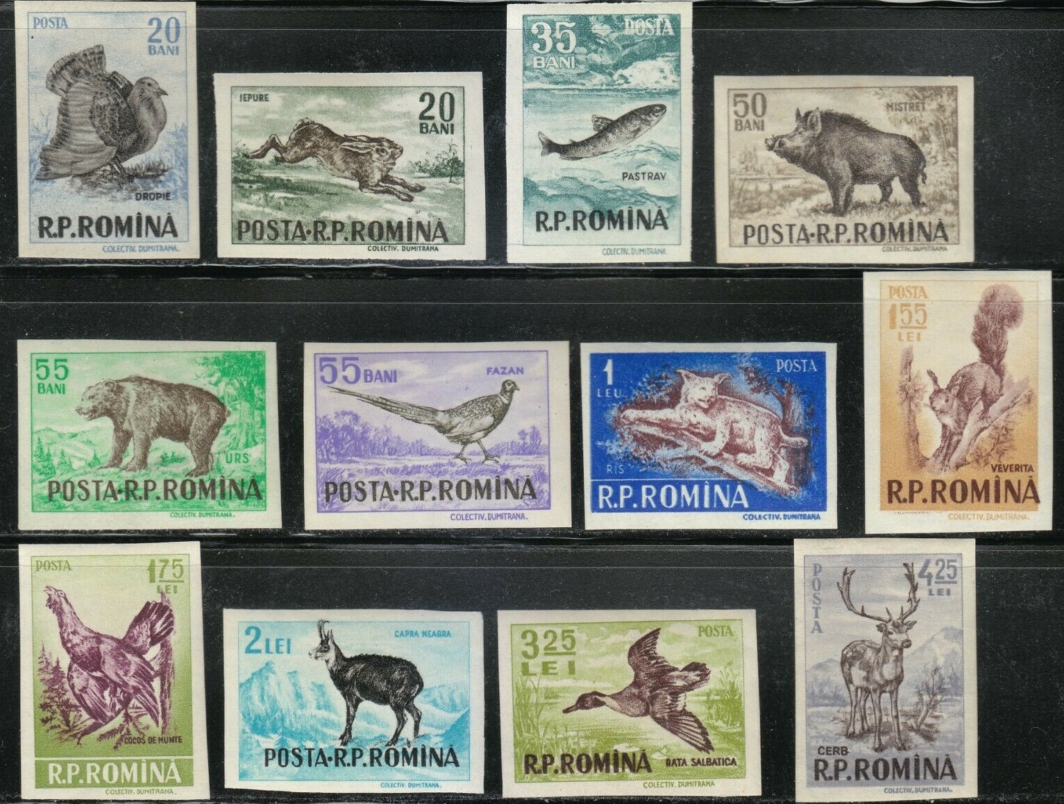 Румыния 1956 охраняемая фауна дикие животные птицы рыбы без зубцов