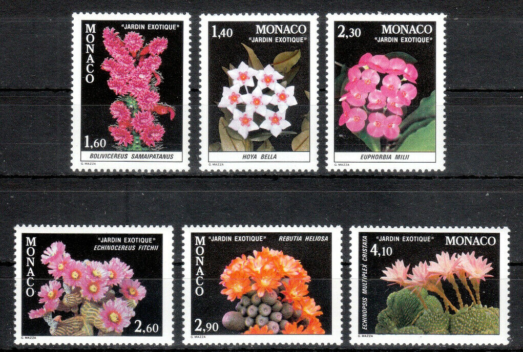 s-l1600 (11)