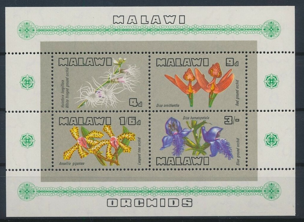 s-l1600 (15)