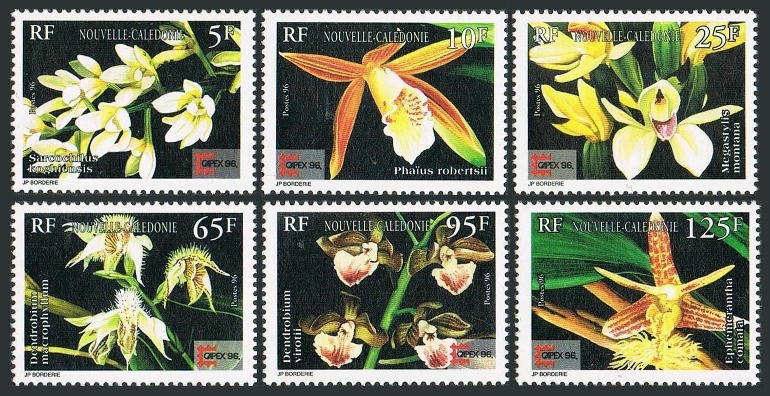 s-l1600 (19)