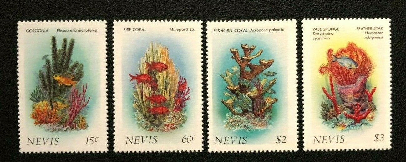 Невис 1986 морская фауна рыбы кораллы