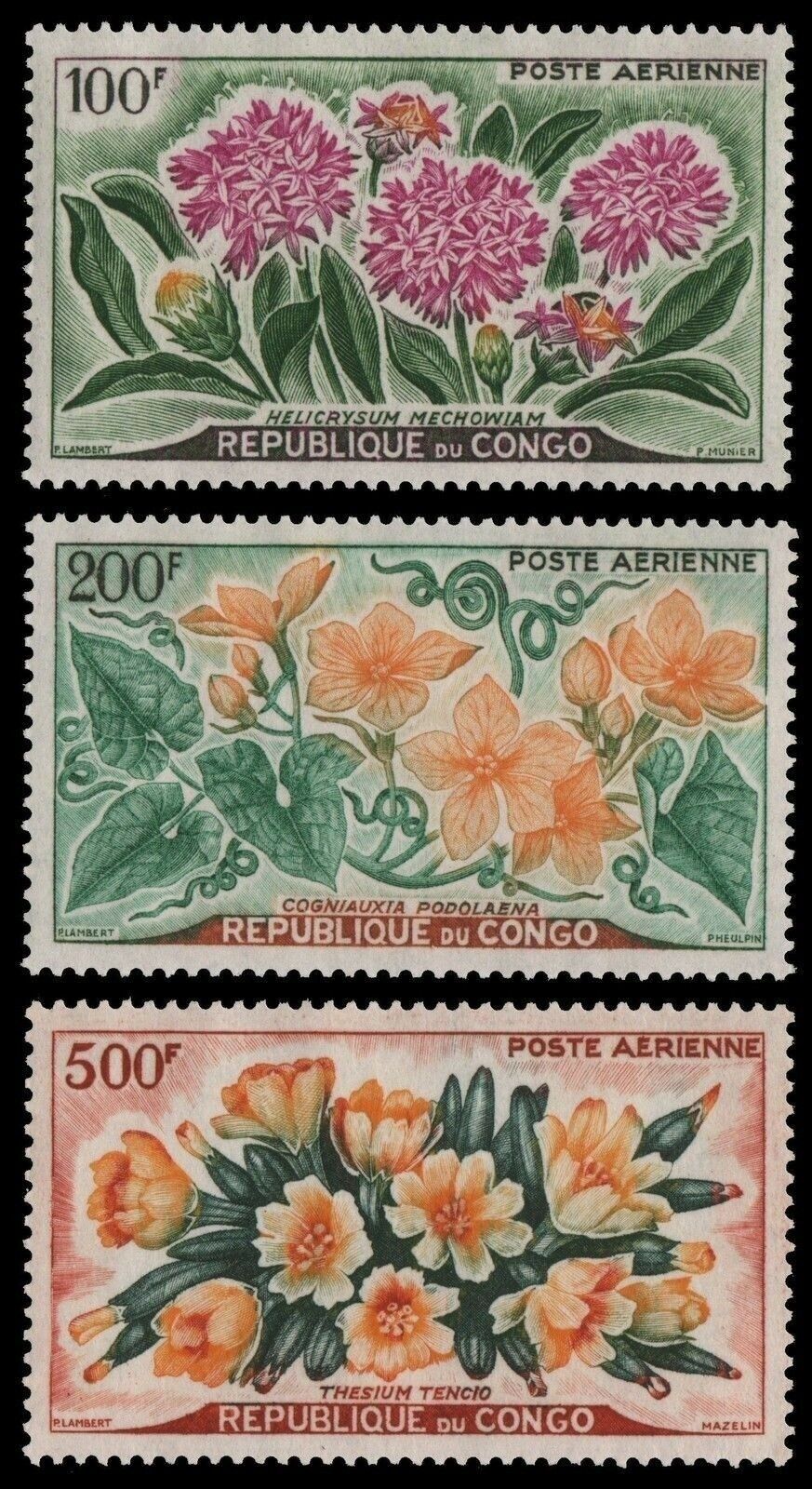 s-l1600 (2)