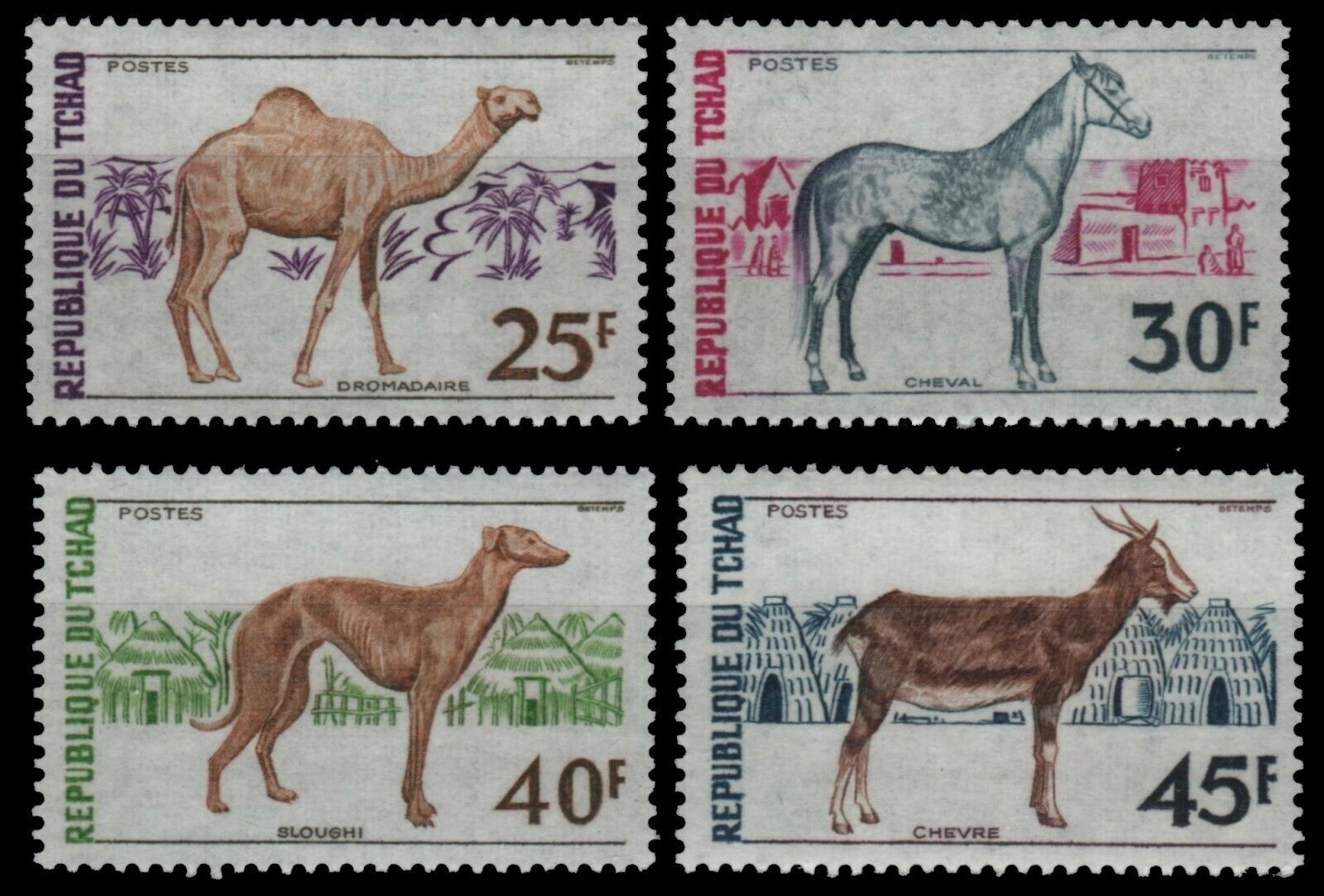 Чад 1972 фауна домашние животные лошадь, собака, верблюд, коза