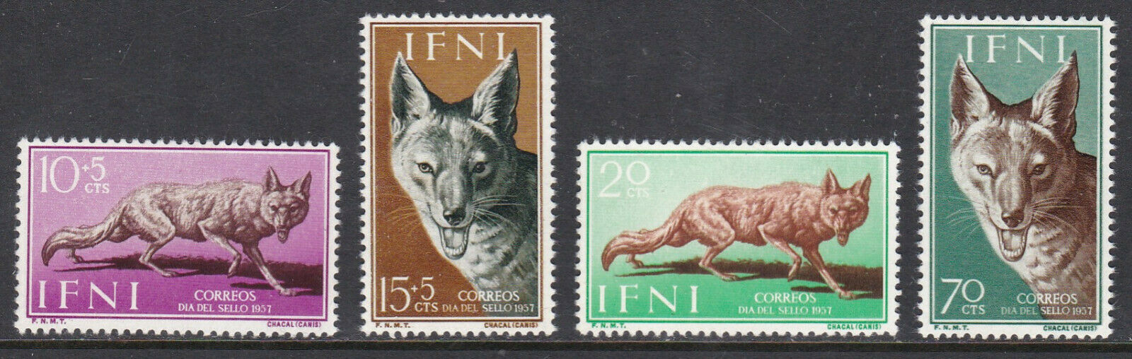 Ифни испанская провинция 1957 фауна дикие животные псовые, шакалы