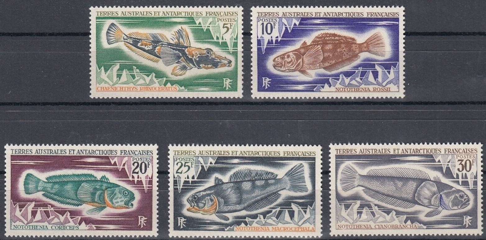 s-l1600
