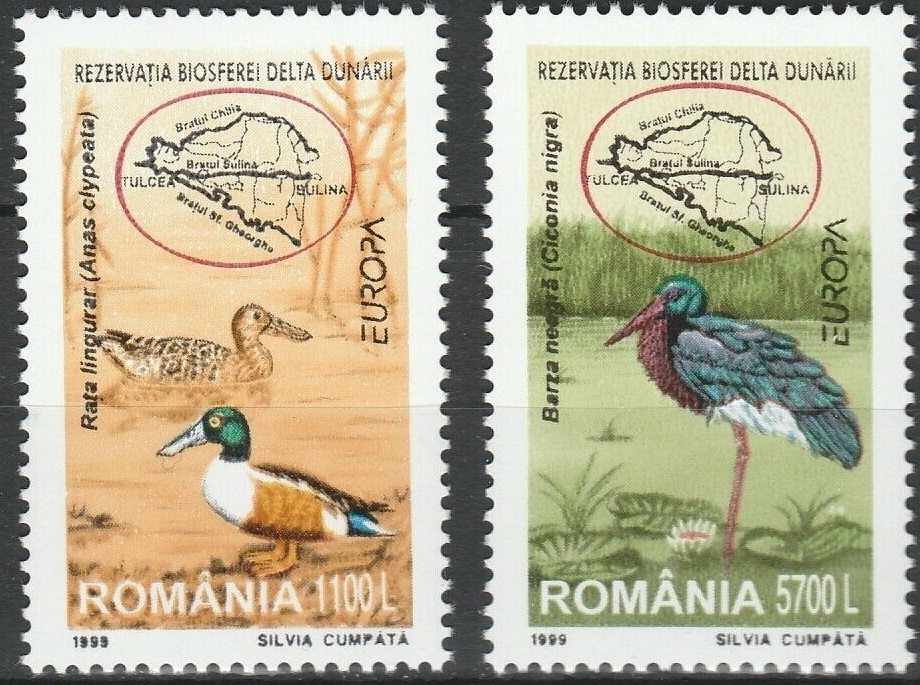 Румыния 2001 фауна  птицы дельты Дуная Черный аист, широконоска