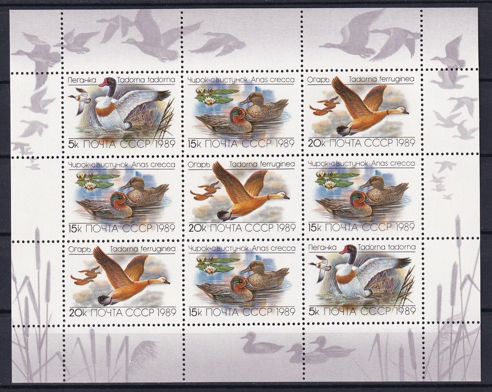 СССР 1989 птицы утки