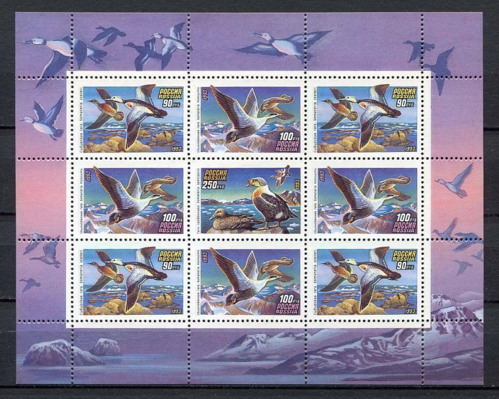 Россия 1993 птицы утки