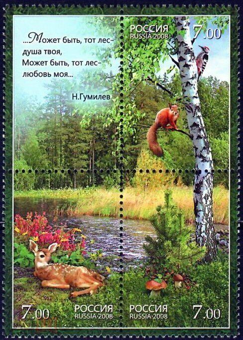 Россия 2008 флора и фауна леса: дикие животные, птицы, деревья, грибы. Литература Н. Гумилев