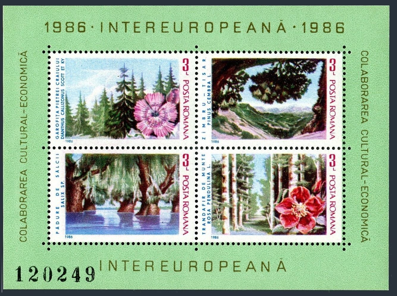 s-l1600 (1)