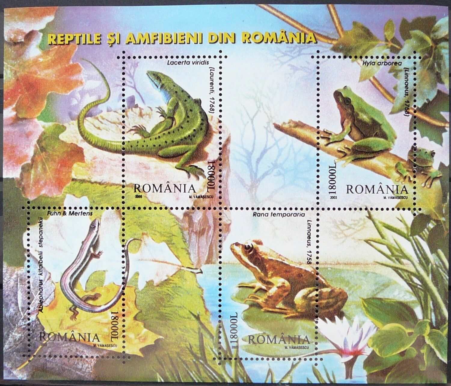Румыния 2003 фауна земноводные рептилии