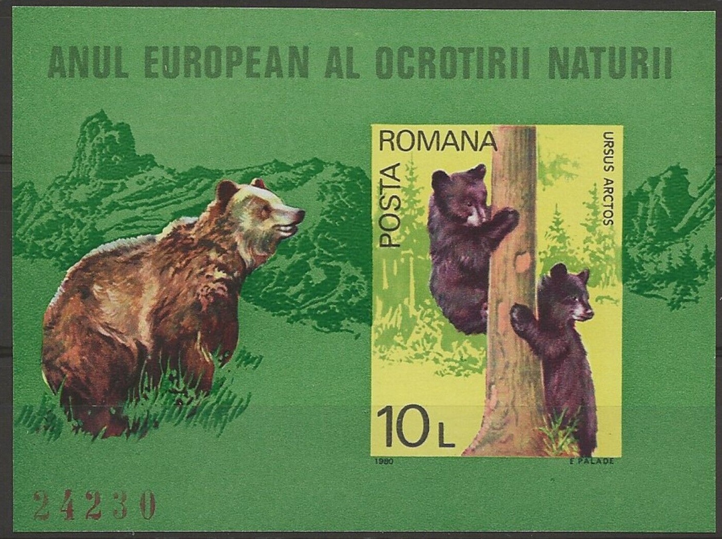 Румыния 1980 фауна дикие животные медведи защита природы без зубцов