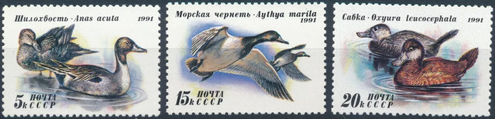 СССР 1991 птицы утки
