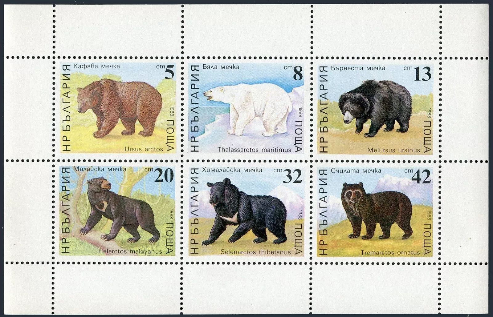 Болгария 1988 фауна дикие животные медведи
