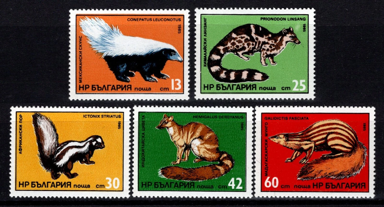 Болгария 1985 фауна дикие животные экзотические хищники