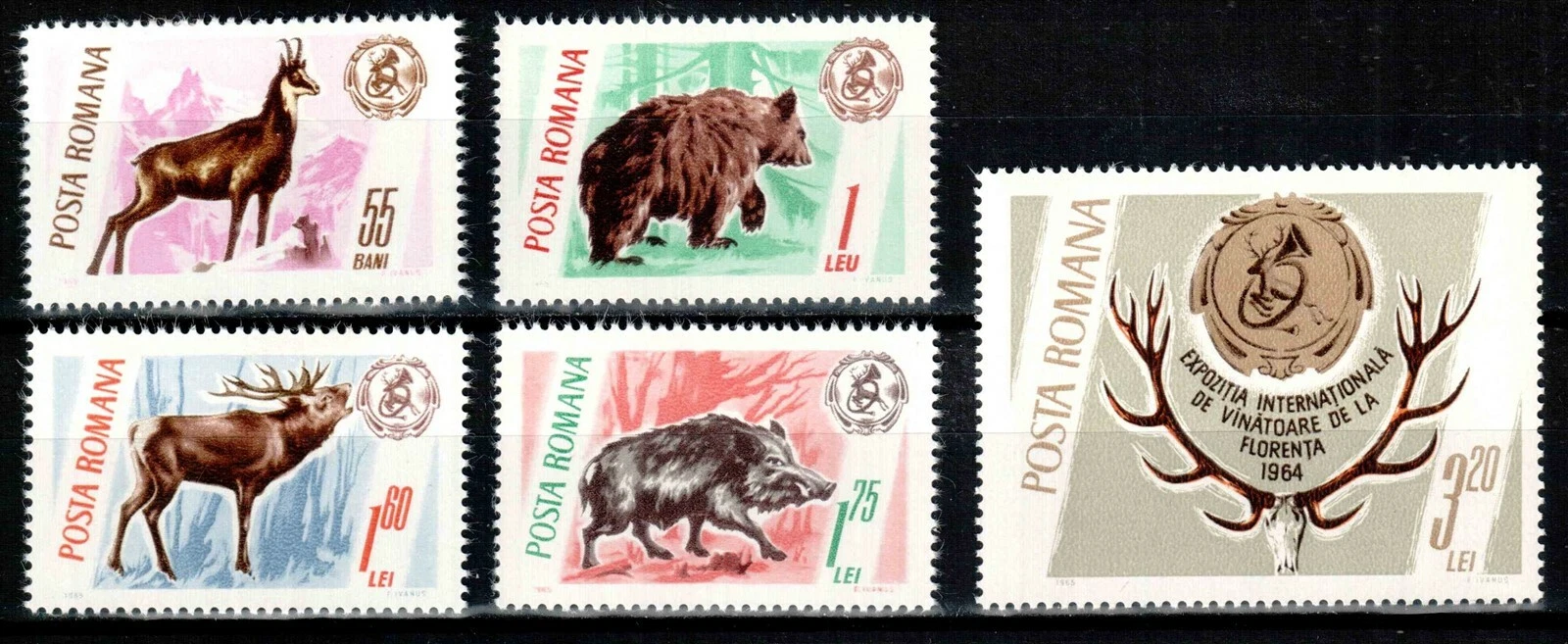 Румыния 1965 фауна дикие животные охота трофеи