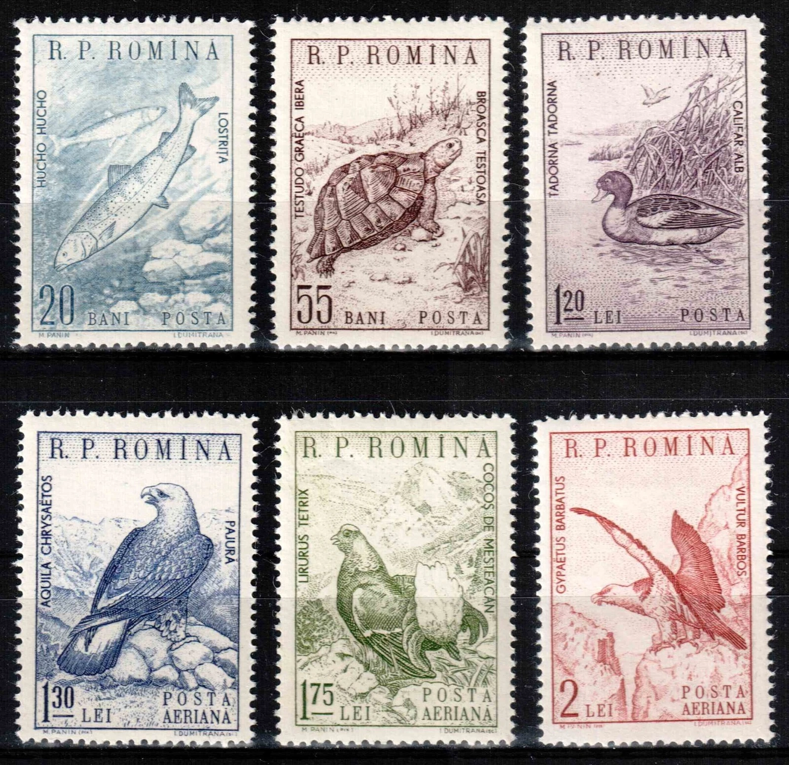 Румыния 1960 фауна птицы рыбы черепаха