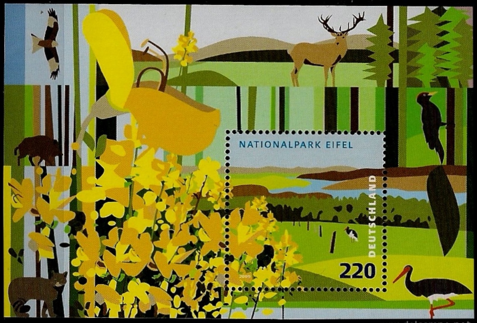 Германия 2009 фауна флора национального парка Айфель. Животные, птицы