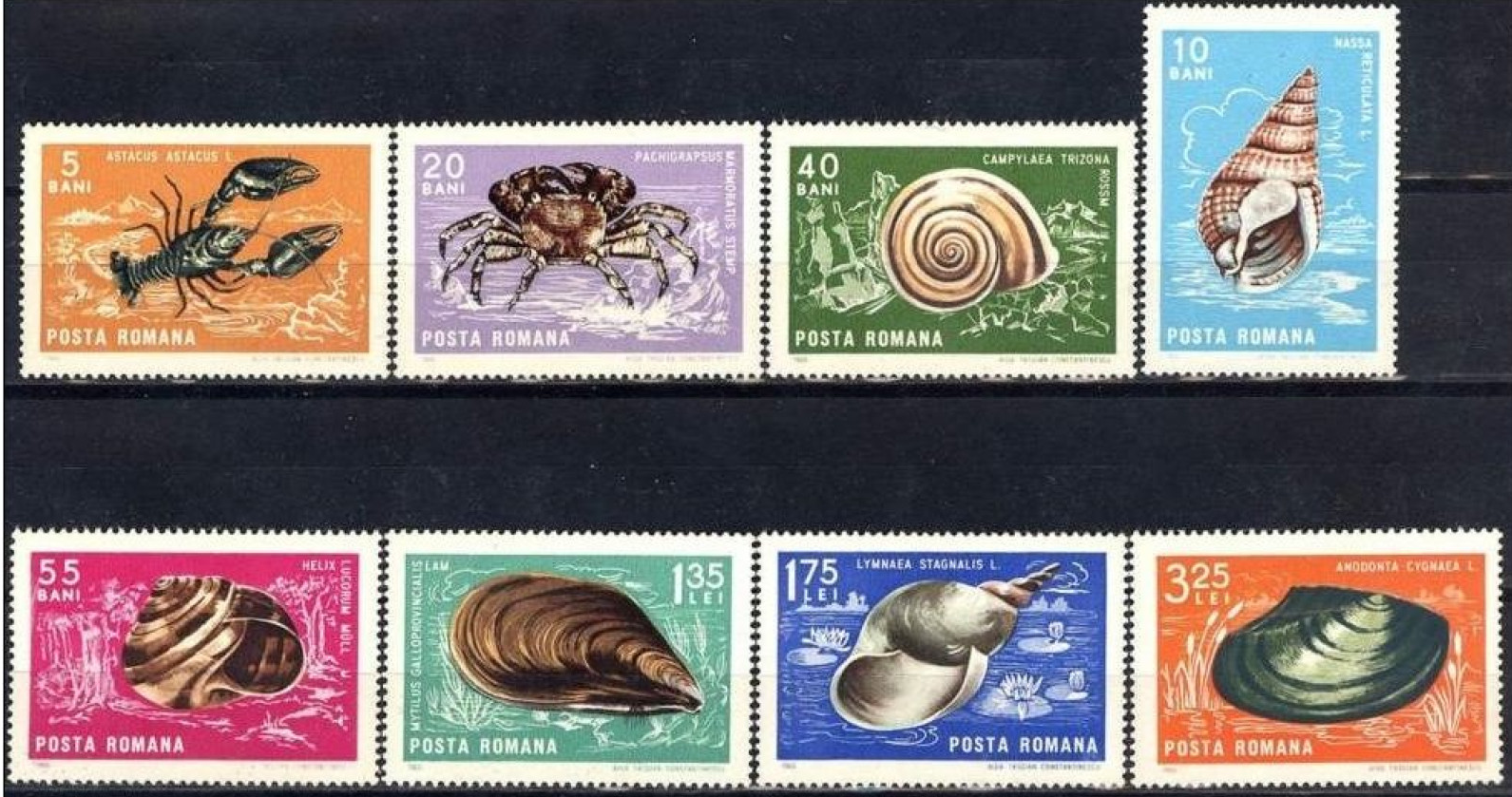 Румыния 1966 морская фауна крабы, улитки, моллюски, ракушки