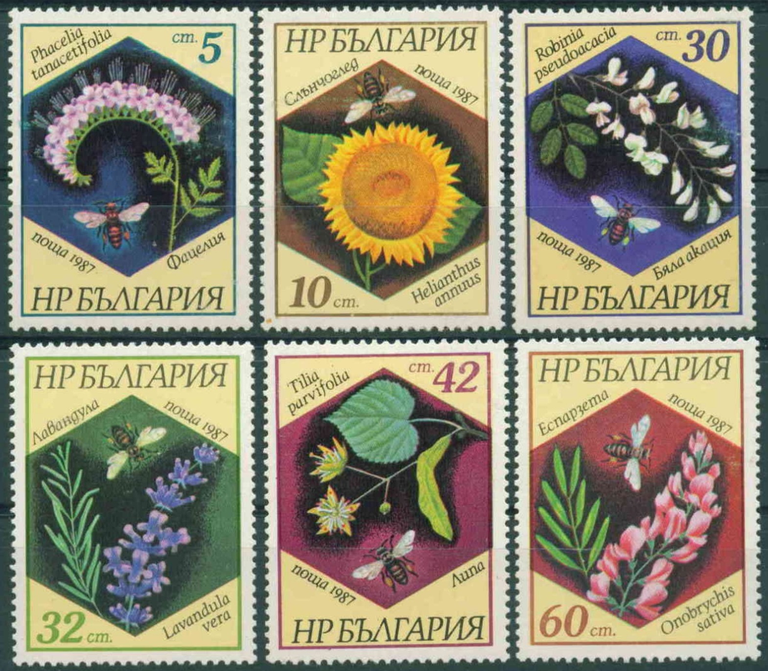 Болгария 1987 фауна насекомые пчелы, флора растения медоносы цветы