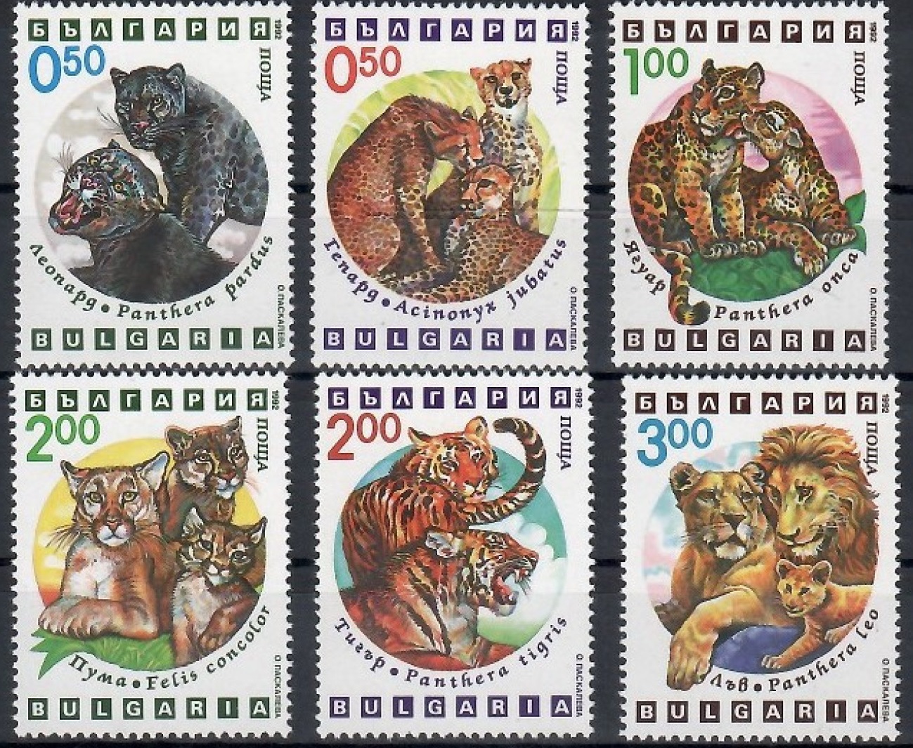 Болгария 1992 фауна хищники дикие кошки
