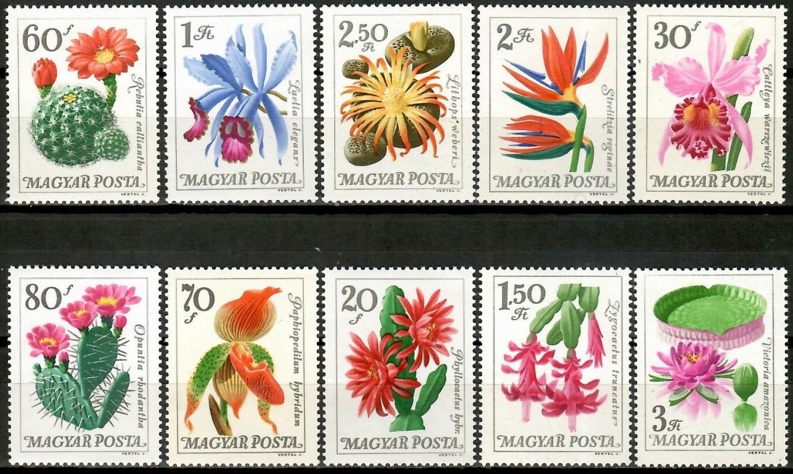 Венгрия 1965 флора растения цветы ботанического сада орхидеи, кактусы, лилии и др.