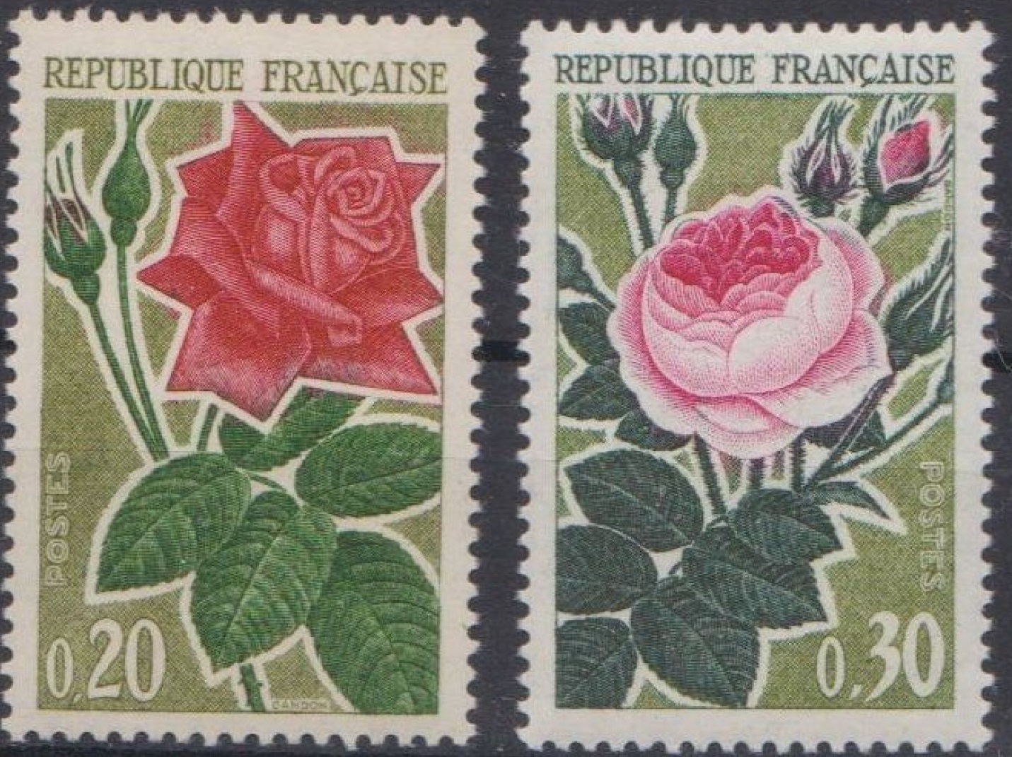 Франция 1962 флора растения  цветы розы